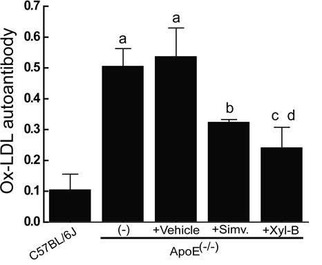 Application of Xyloketal B in preparing antiatherosclerotic medicaments