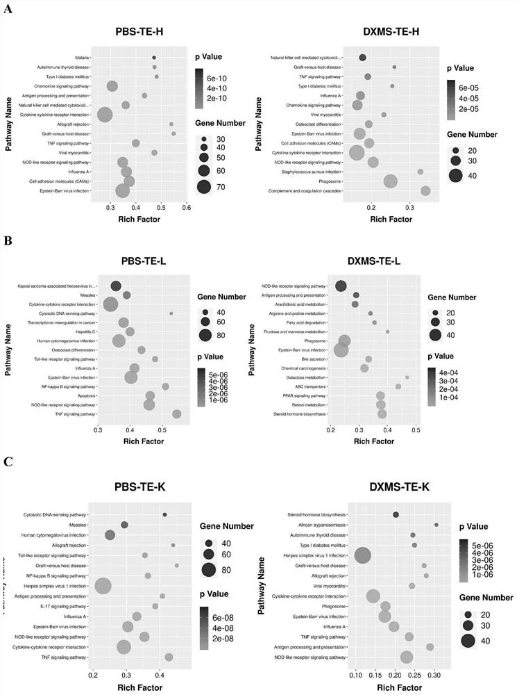 Application of dexamethasone to preparation of drugs for preventing or alleviating jellyfish stings