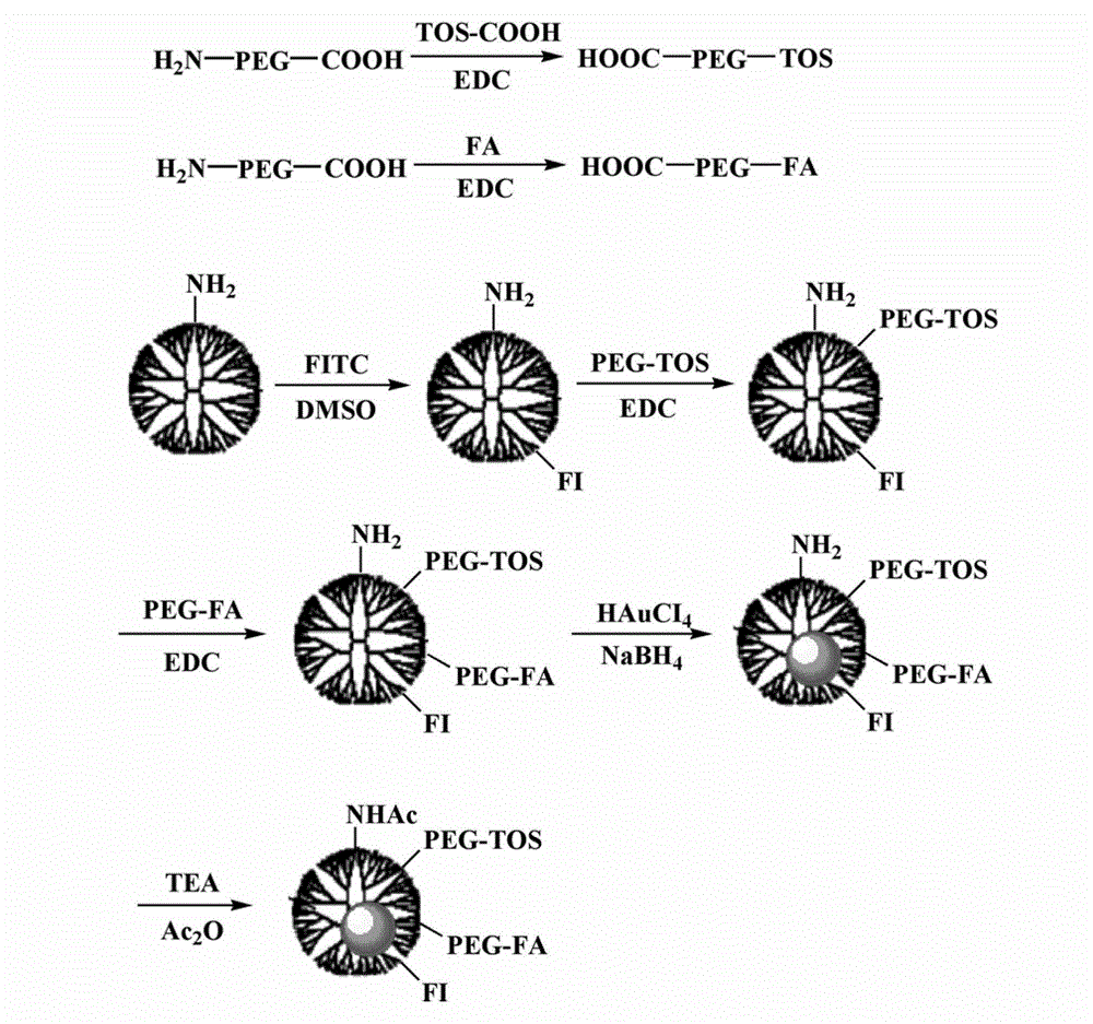 Preparation method for alpha-TOS-loaded and dendrimer-wrapped gold nanoparticles