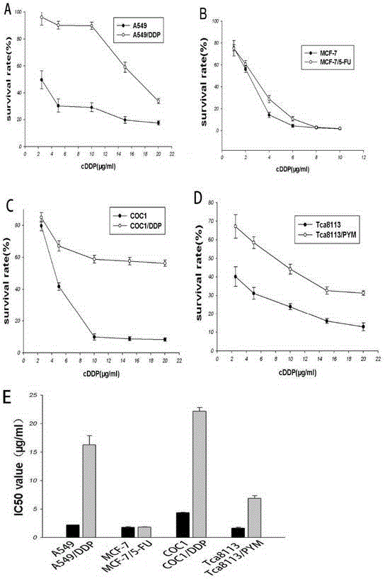 Application of TCRP1 gene in the preparation of tumor cell platinum resistance reversal agent