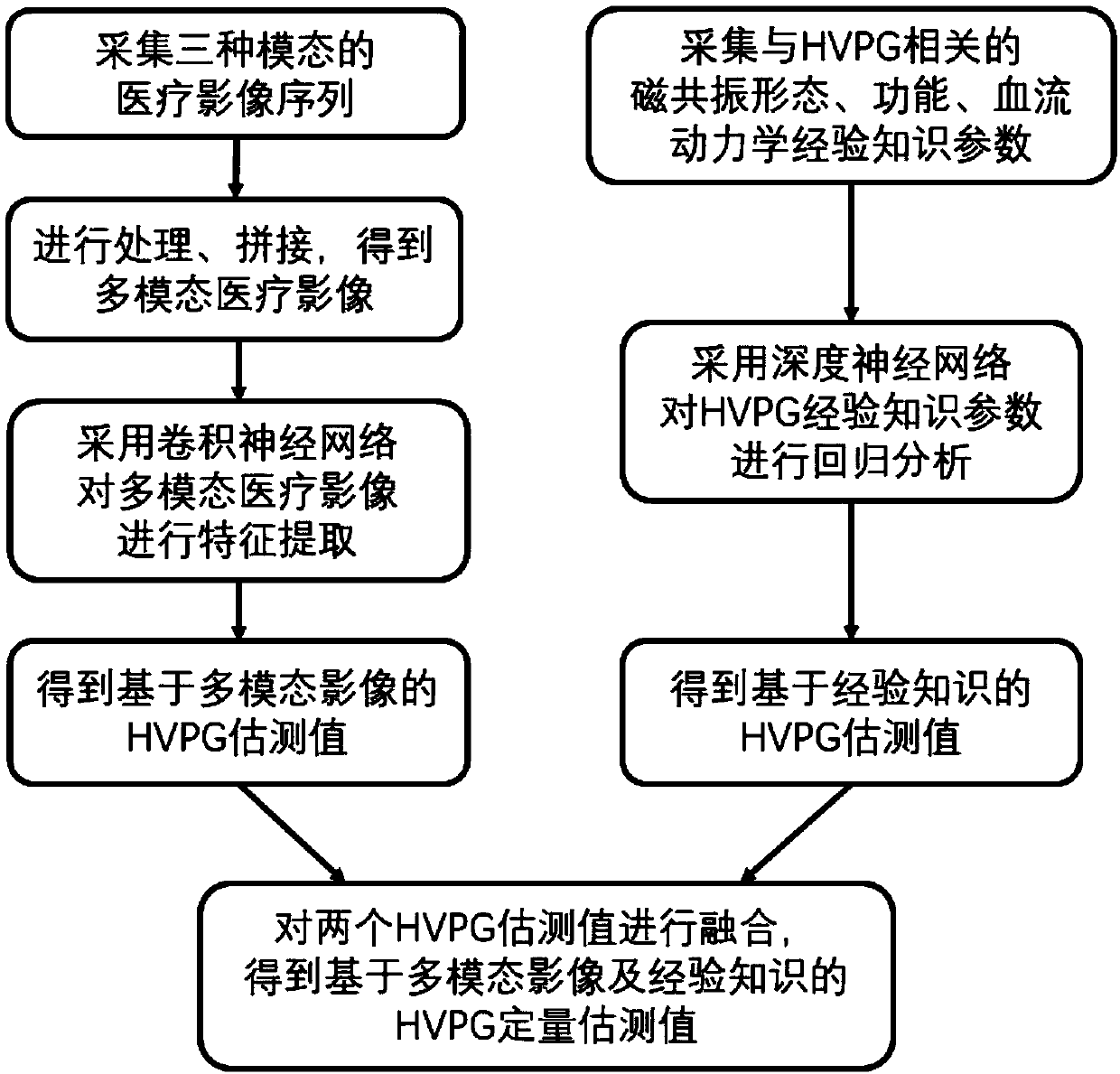 Non-invasive evaluation method of hepatic vein pressure gradient based on multi-modal images and empirical knowledge