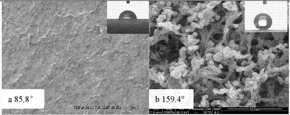 Super hydrophobic modification method for polyvinylidene fluoride hydrophobic membranes