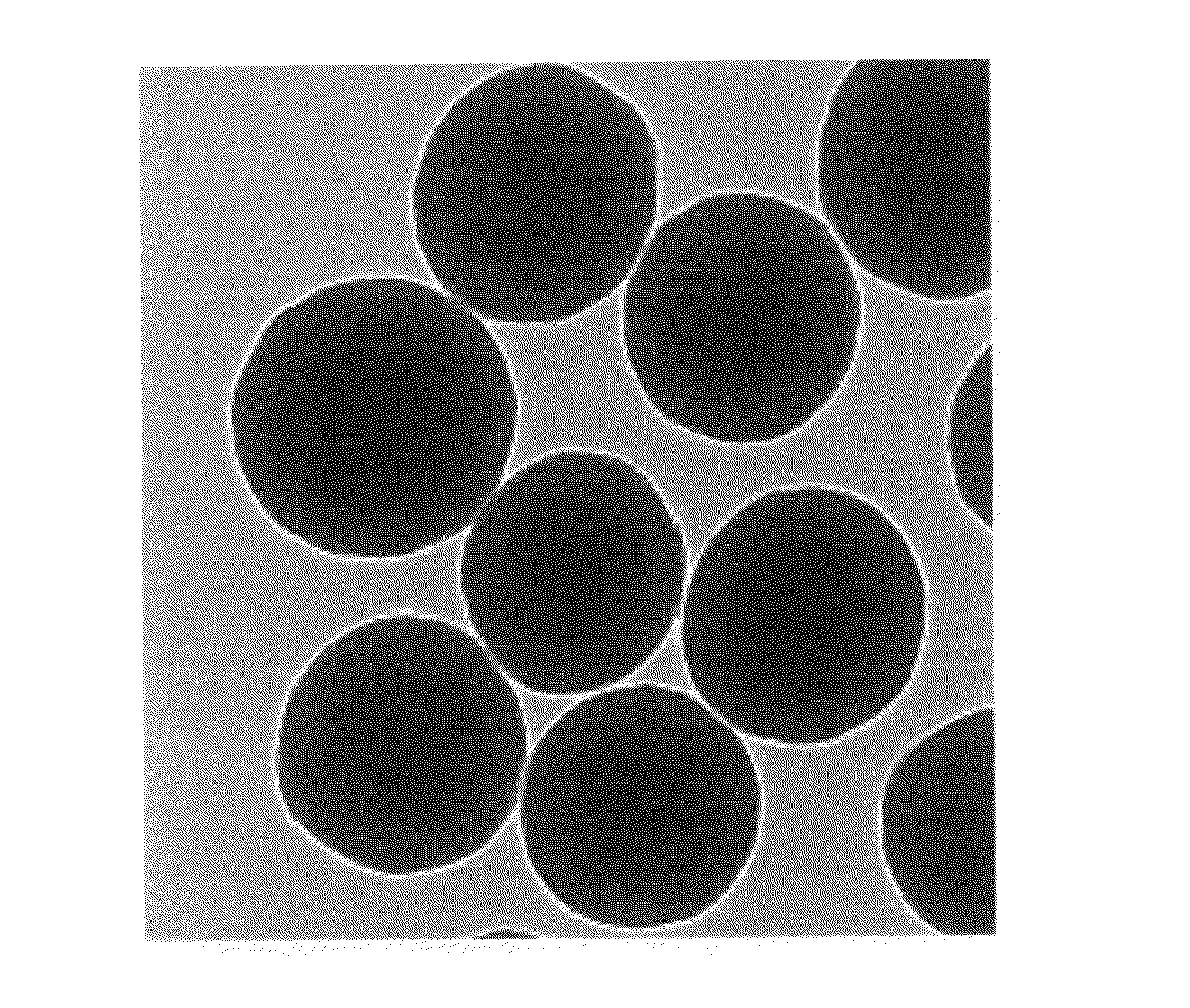 Surface enhanced raman scattering nano-tagging particle and method for preparing thereof