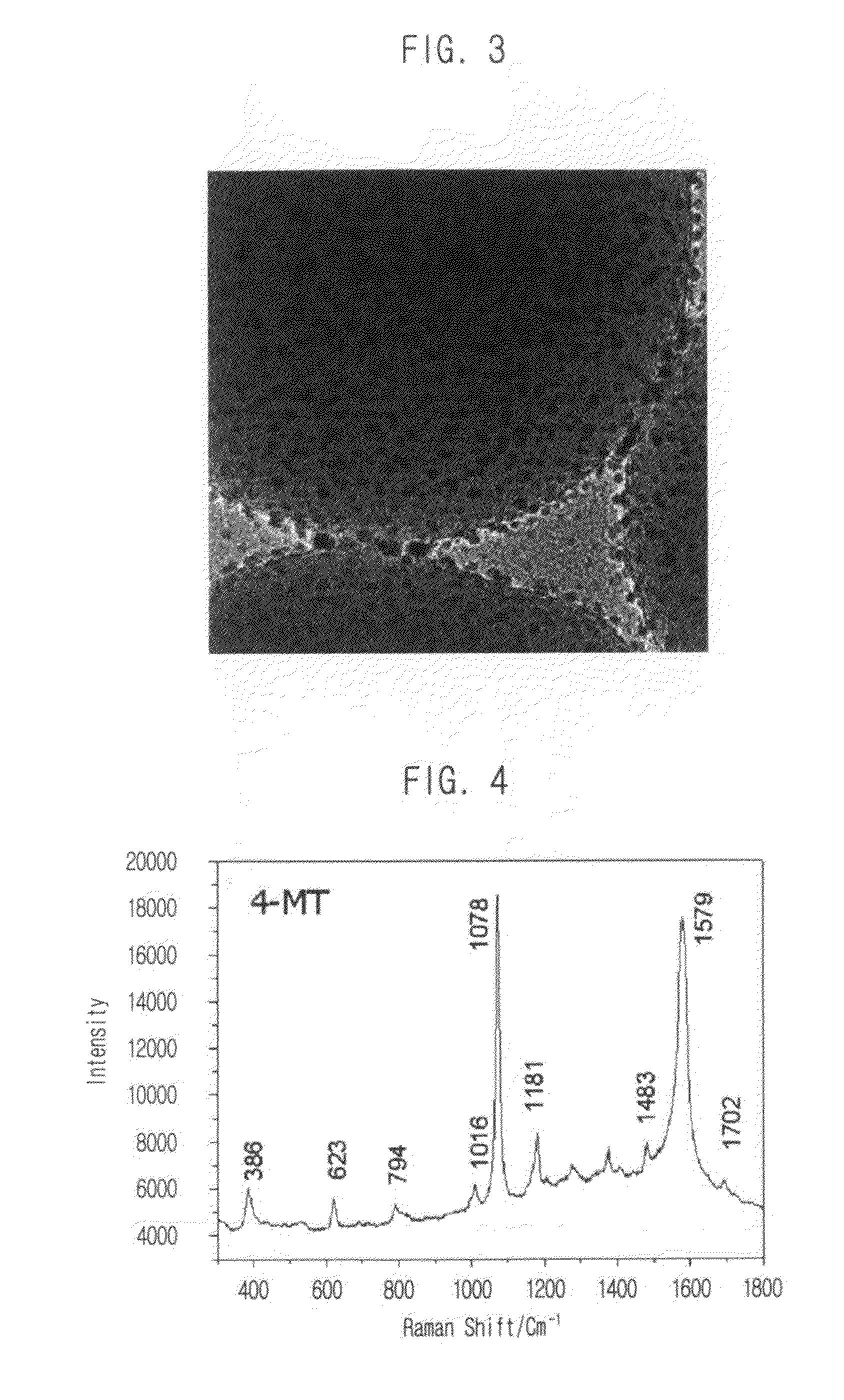 Surface enhanced raman scattering nano-tagging particle and method for preparing thereof