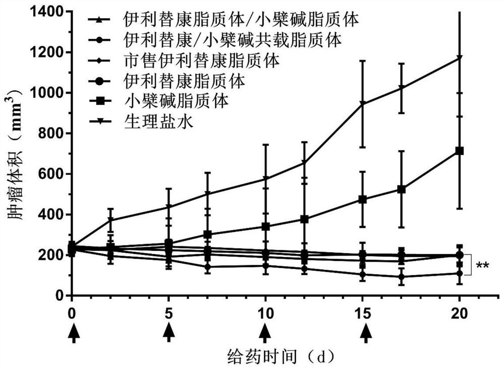 Pharmaceutical composition, pharmaceutical preparation, application and preparation method thereof for treating cancer