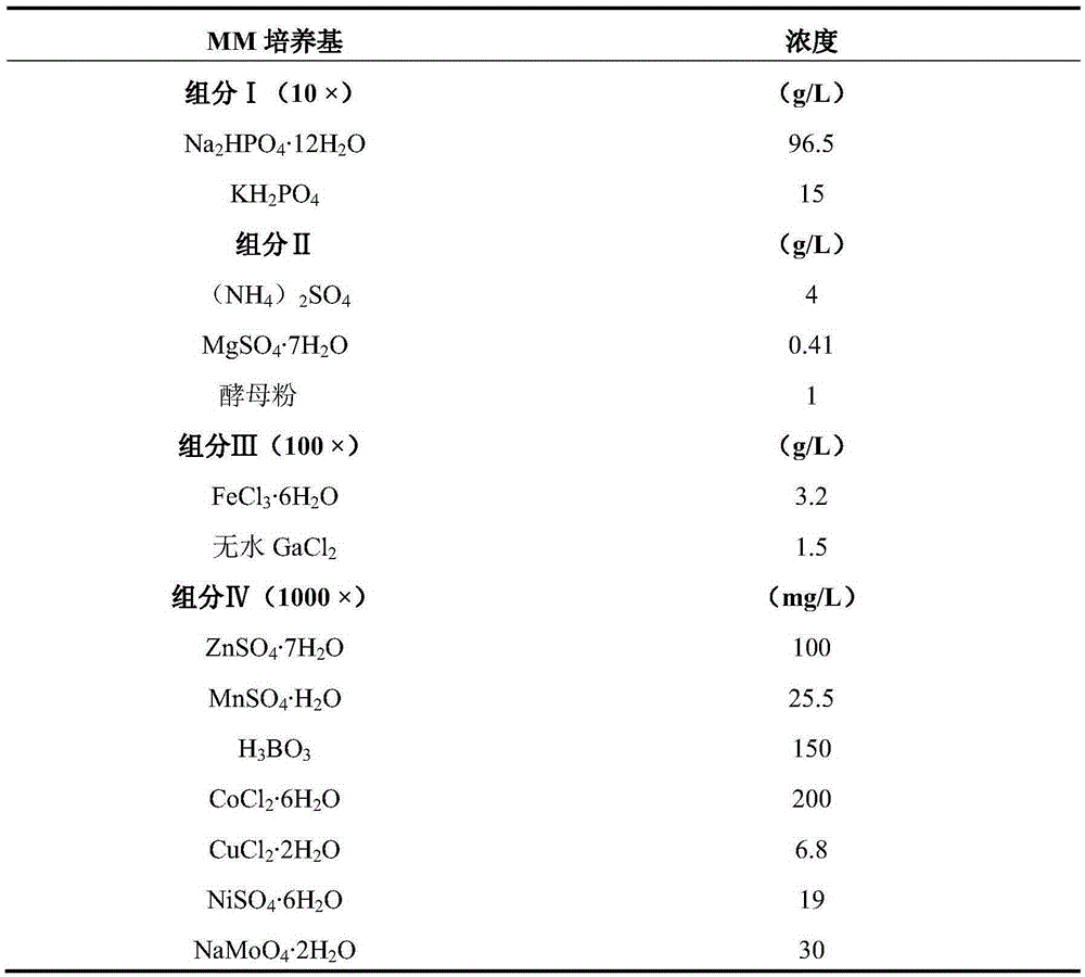 Engineering bacterium, construction method and application for producing immobilized alkaline pectinase nano micro-spheres