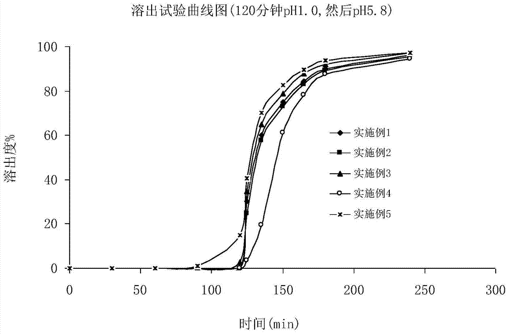 A kind of Fidaxomycin enteric-coated preparation