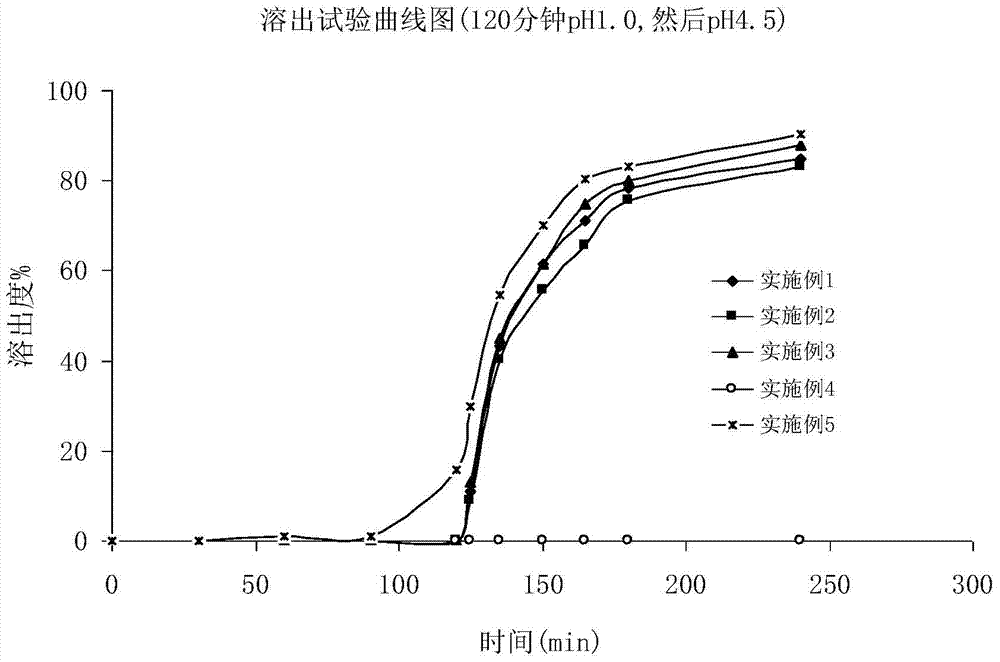 A kind of Fidaxomycin enteric-coated preparation