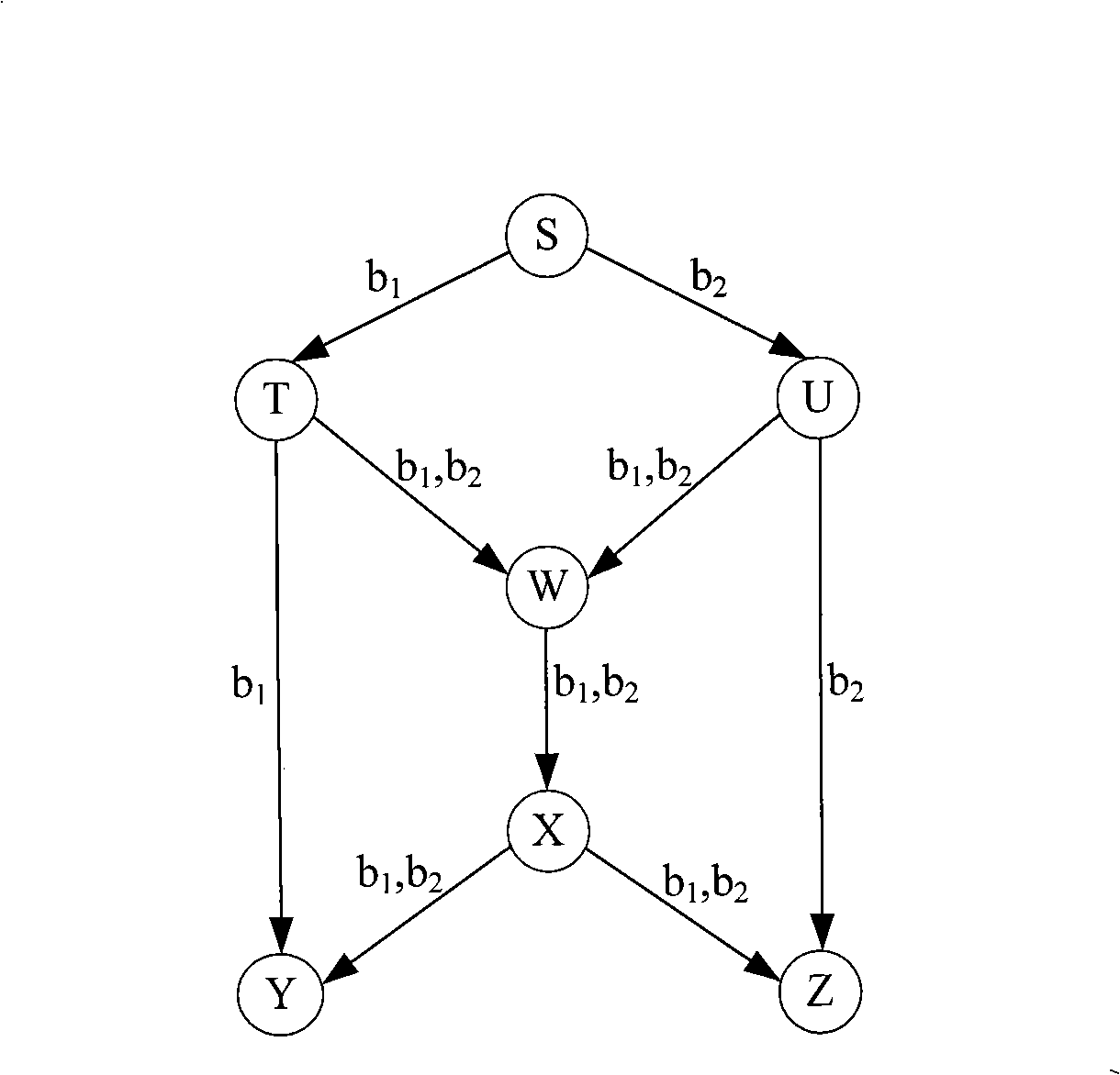 Method and apparatus for improving multicast transmission efficiency based on random network encoding