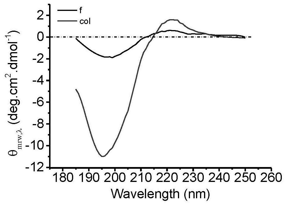 A long collagen fiber with natural structure and its preparation method and application