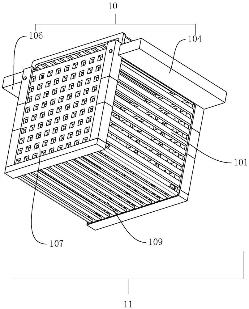 Colossoma brachypomum culture method and culture net cage