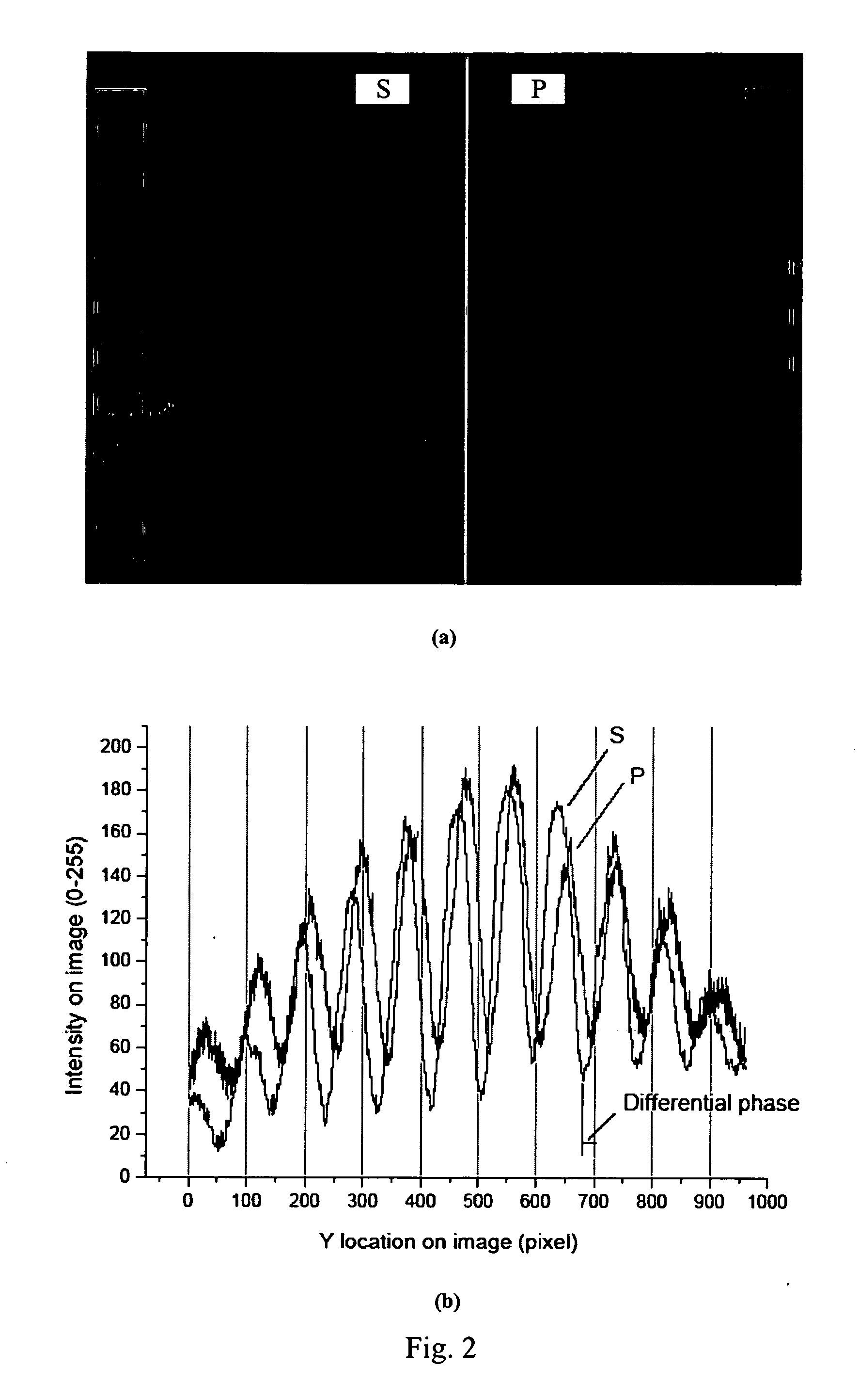 Optical sensing devices with SPR sensors based on differential phase interrogation and measuring method using the same