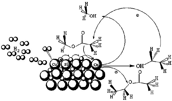 Technology for producing ethanol through methyl acetate via methanol