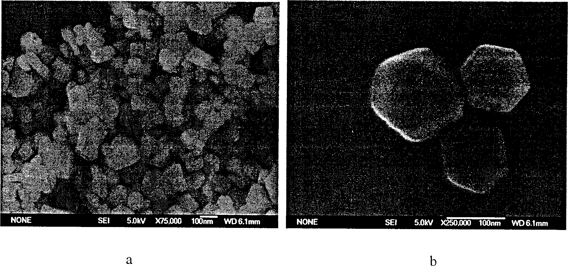 Prepn of magnesium hydroxide for fire retardant