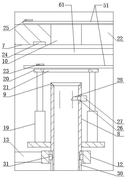 Device for rapidly marking schizothorax fish specimen in field investigation process