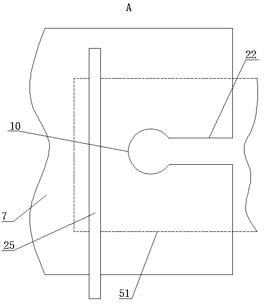 Device for rapidly marking schizothorax fish specimen in field investigation process