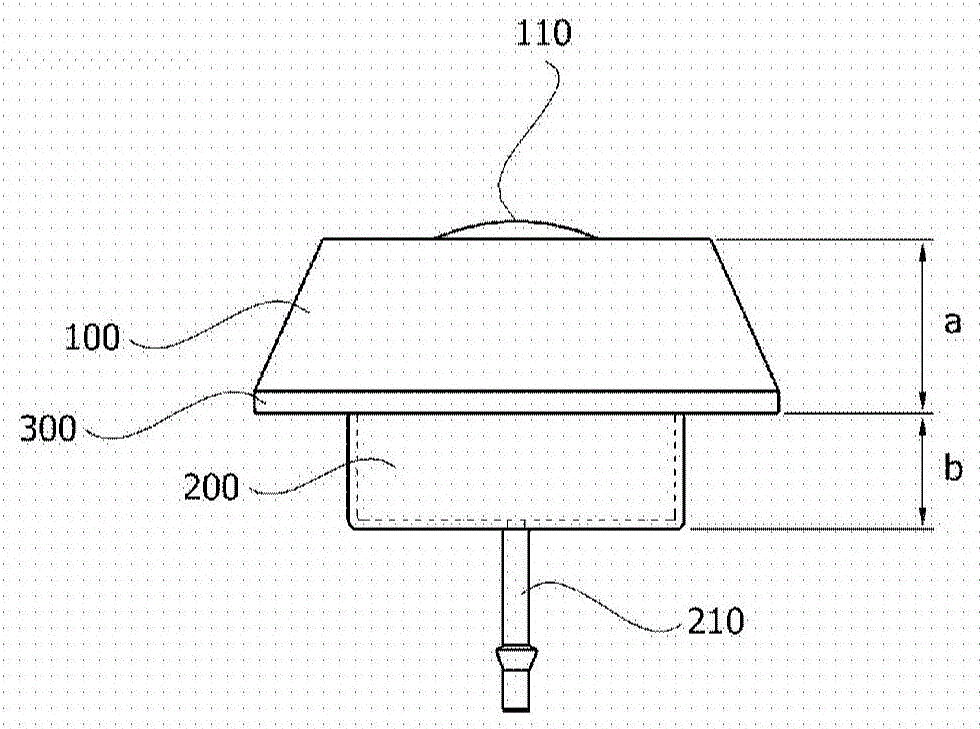 Skull implant type drug injection port