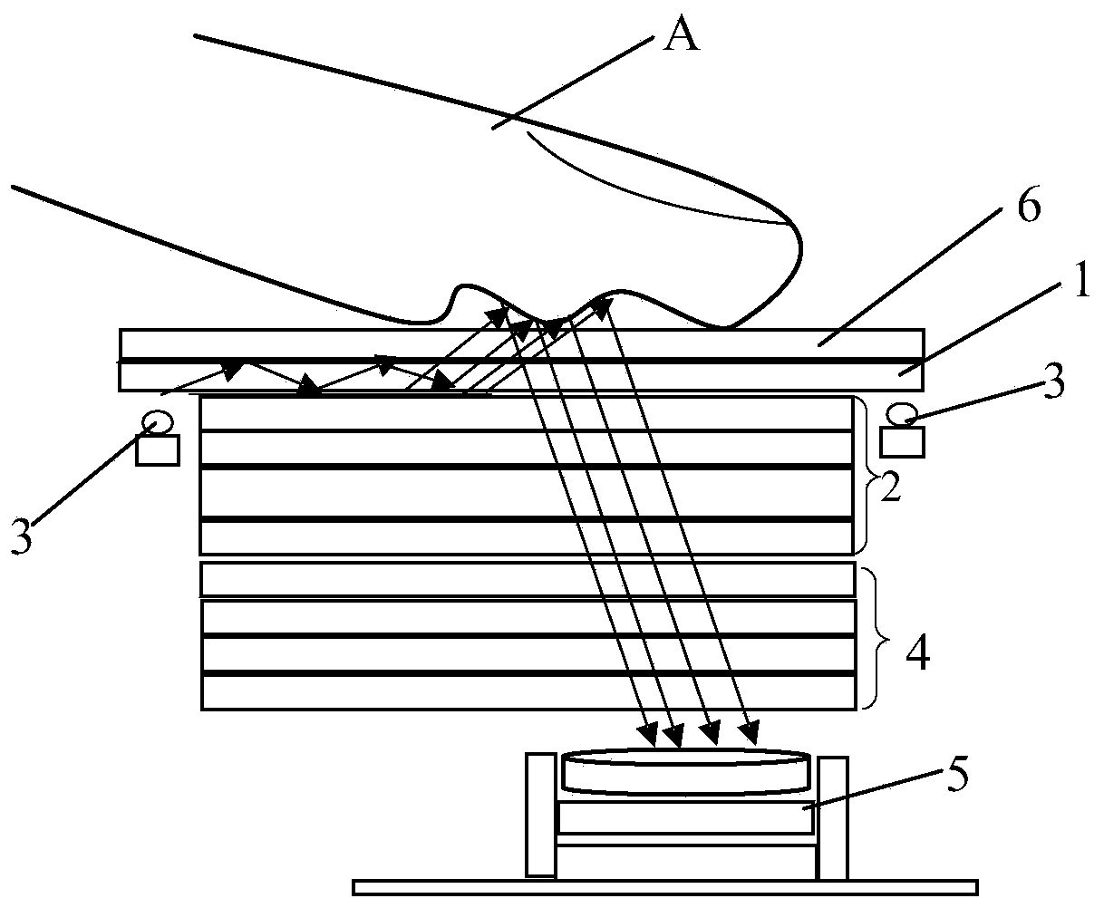 Screen fingerprint assembly and terminal equipment