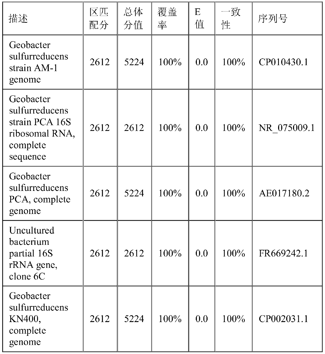 Pure bacteria Geobacter genus microbe electrochemical system capable of being easily started in aerobic environment