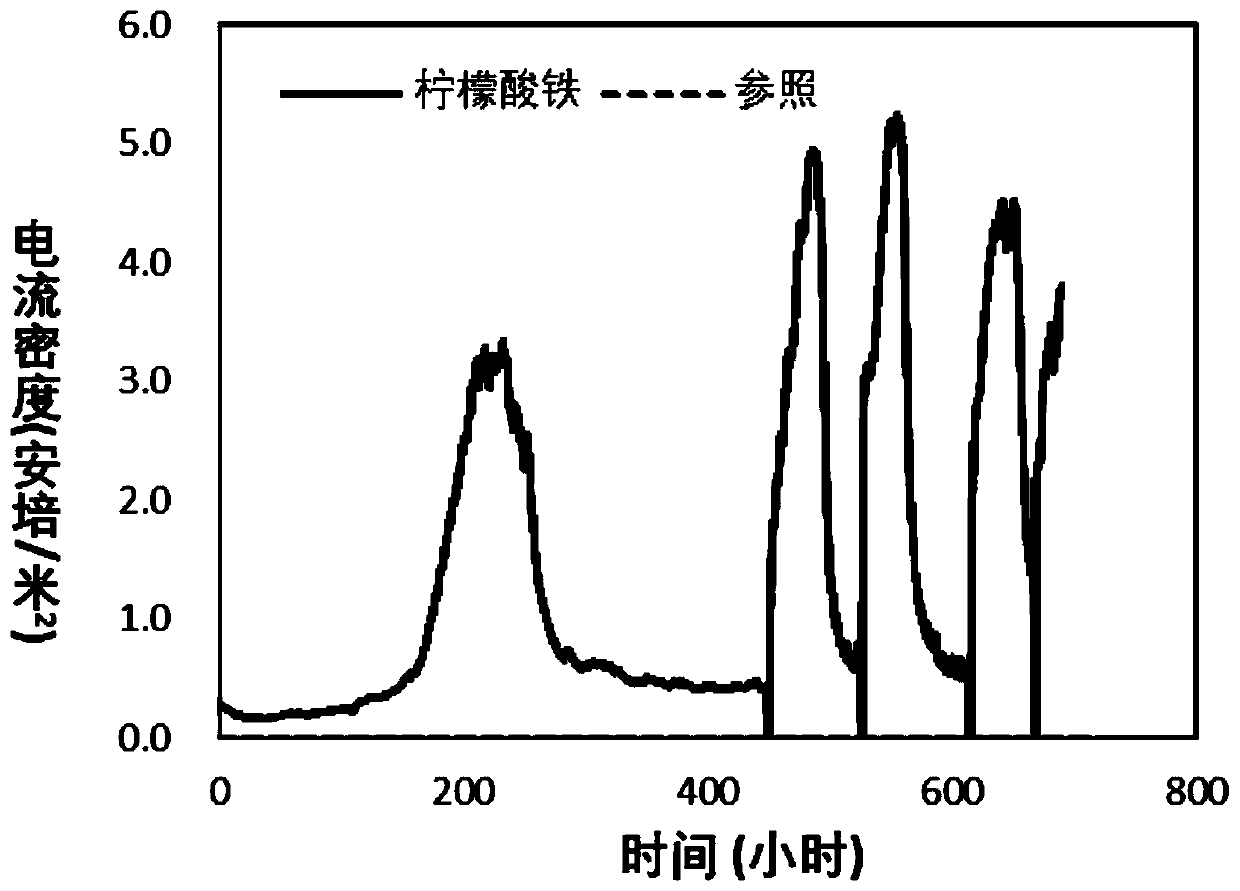 Pure bacteria Geobacter genus microbe electrochemical system capable of being easily started in aerobic environment