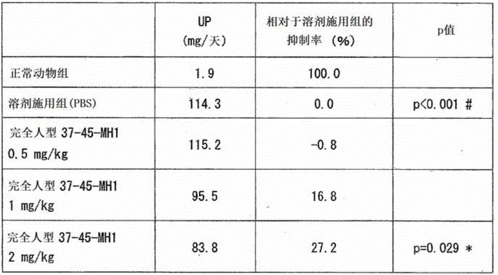 Novel anti-human ctgf antibody