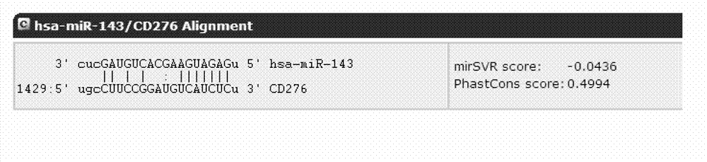 MicroRNA (micro ribonucleic acid) for regulating gene expression of B7-H3 (a molecule of the B7 family)