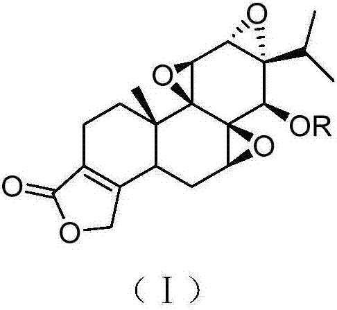 Triptolide derivative, preparation method and preparation thereof