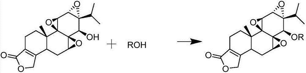 Triptolide derivative, preparation method and preparation thereof