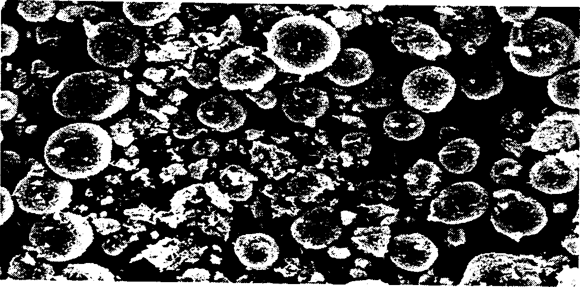 Spherical gamma nickel oxyhydroxide, preparation process and application thereof