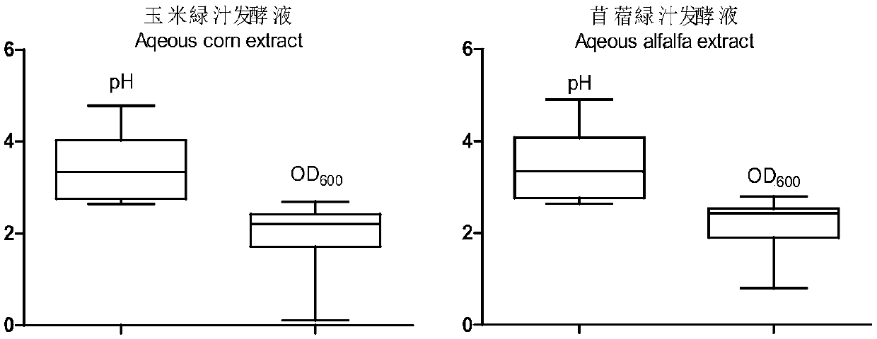 Mixed lactic acid bacteria preparation for wrapping silage in alpine pastoral regions