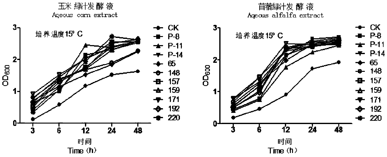 Mixed lactic acid bacteria preparation for wrapping silage in alpine pastoral regions