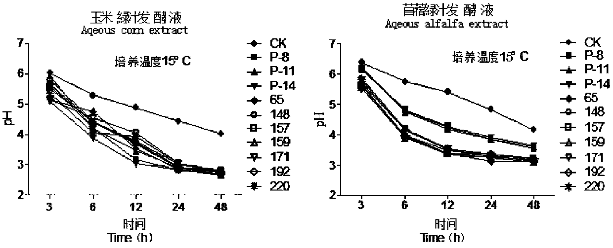 Mixed lactic acid bacteria preparation for wrapping silage in alpine pastoral regions