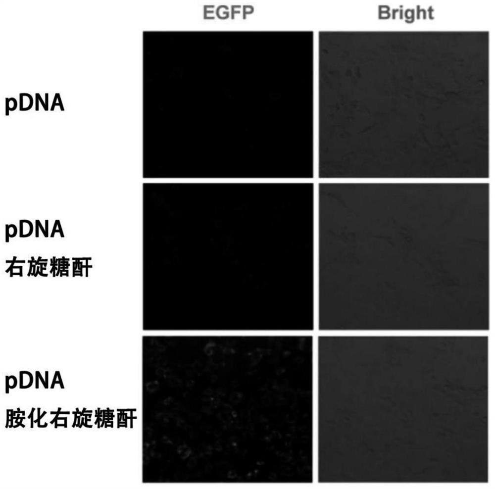 A kind of non-viral nanoparticle for gene molecular delivery and its preparation method and application