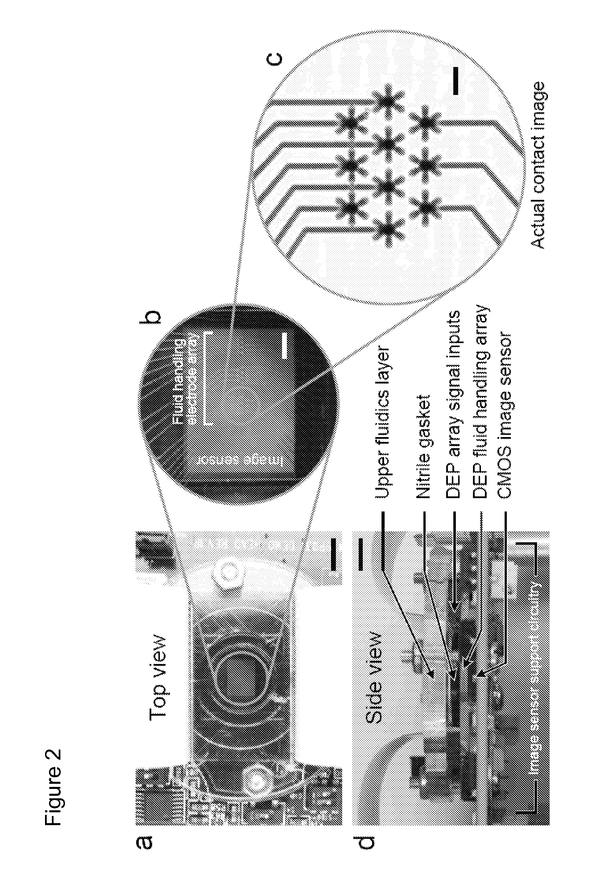 Method and apparatus for quantitative microimaging