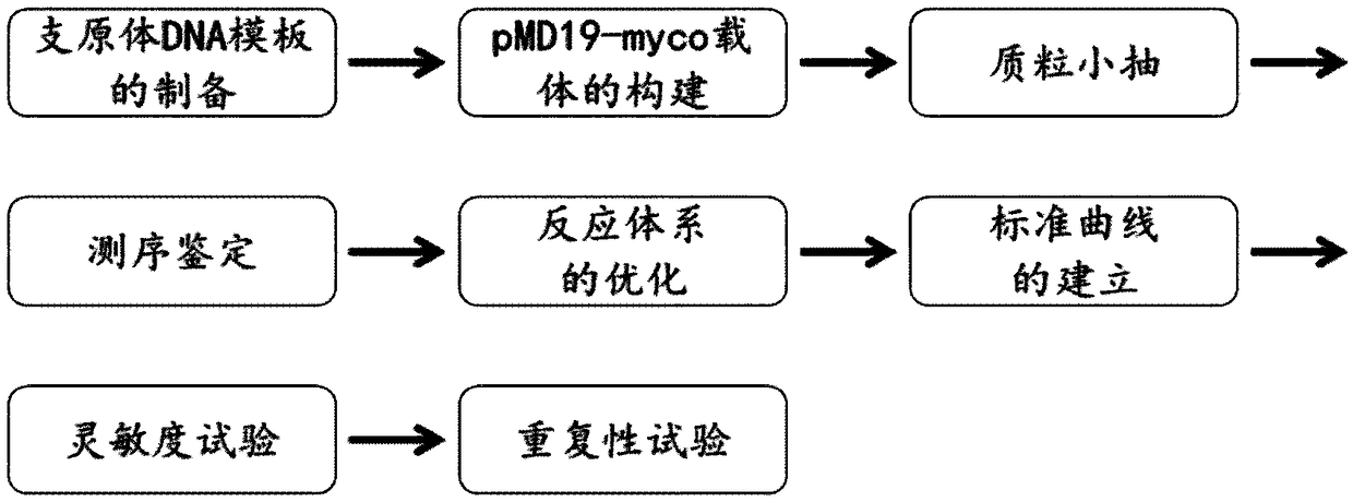 Fluorescent quantitative PCR primer for detecting mycoplasma, detection method and application