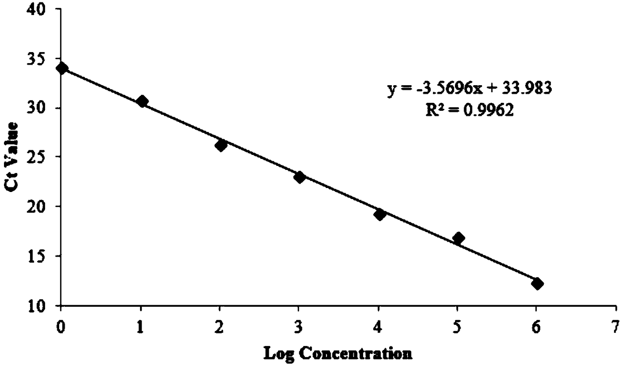 Fluorescent quantitative PCR primer for detecting mycoplasma, detection method and application