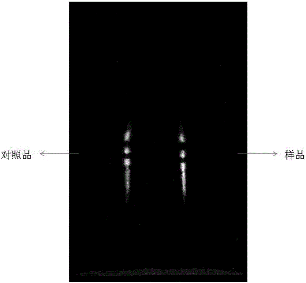 Identification method for effective components in ginkgo leaf preparation