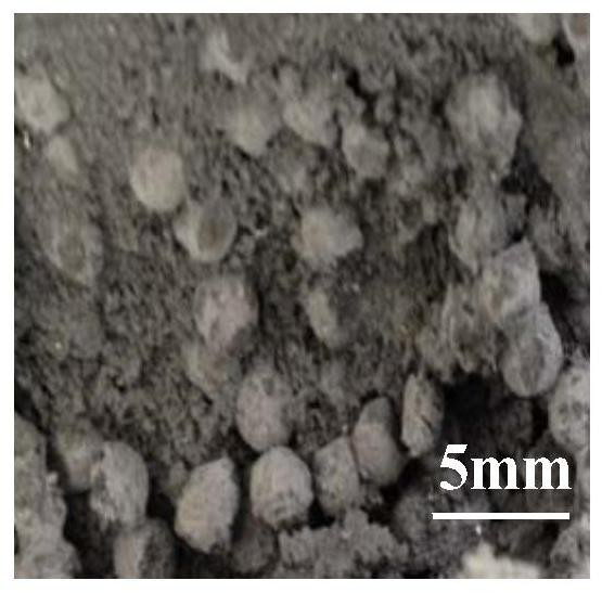 A kind of preparation method of three-dimensional network silicon carbide ceramic reinforced aluminum matrix composite material