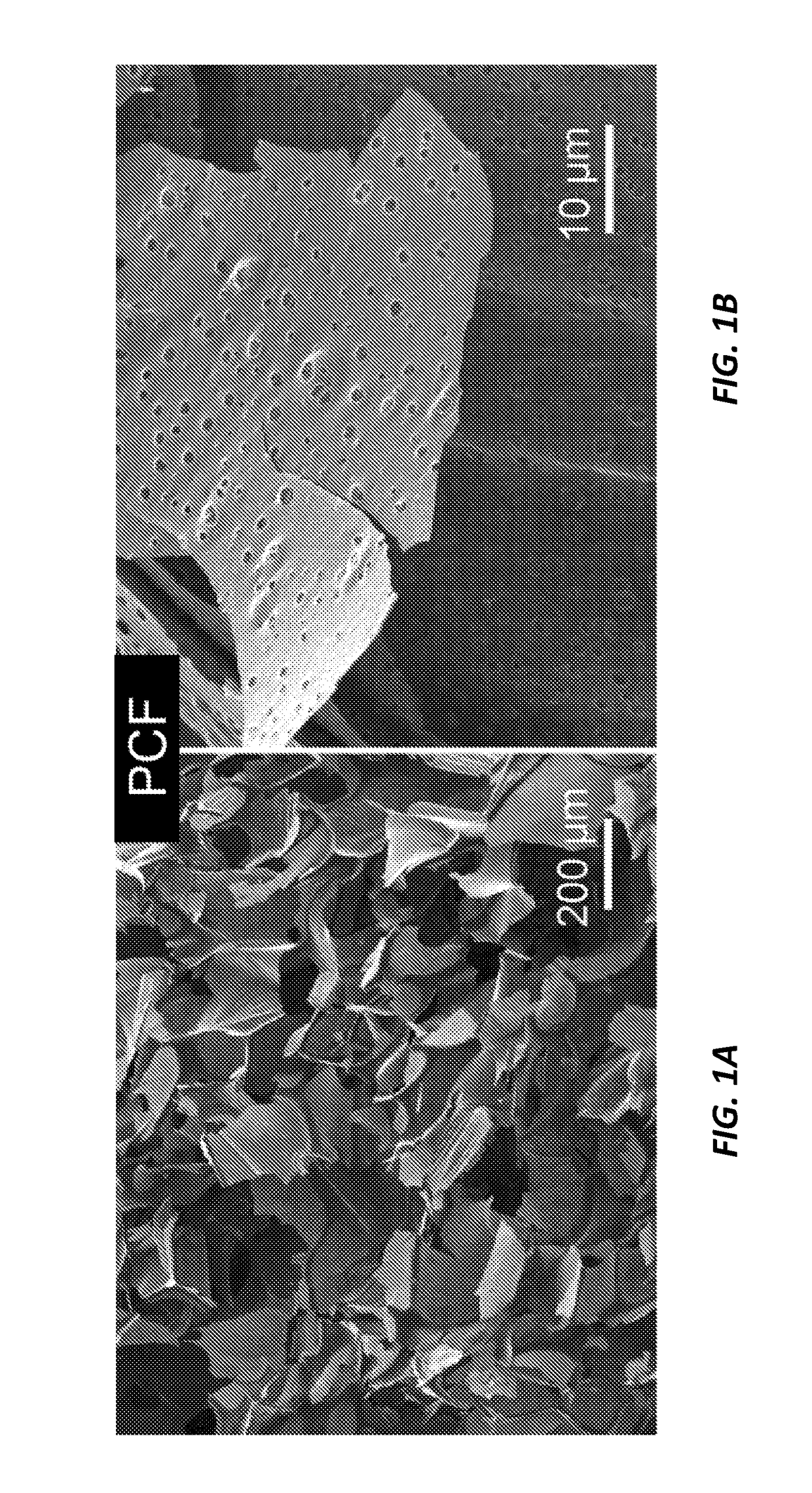 Three-dimensional hierarchical porous carbon foams for supercapacitors