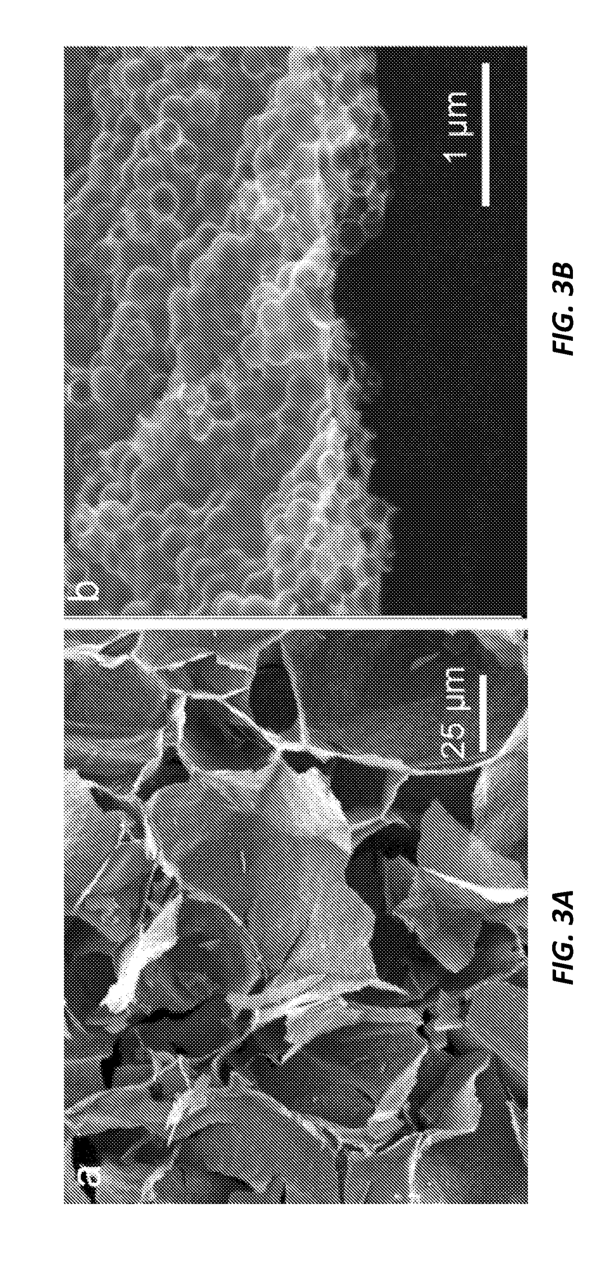 Three-dimensional hierarchical porous carbon foams for supercapacitors