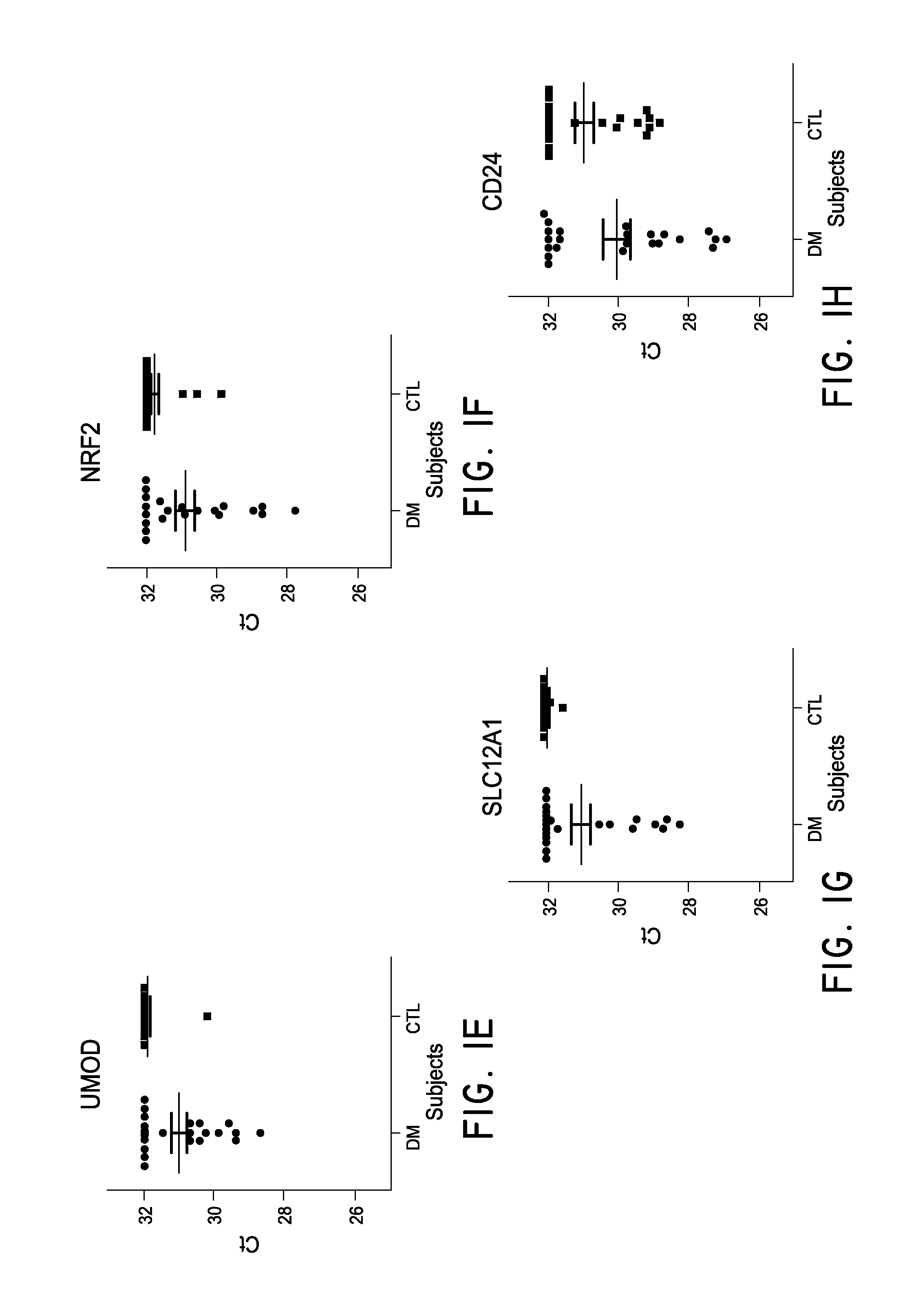 URINE EXOSOME mRNAS AND METHODS OF USING SAME TO DETECT DIABETIC NEPHROPATHY