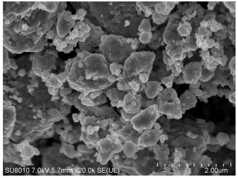 A transition metal phosphide MxPy oxygen reduction and hydrogen evolution bifunctional catalyst and preparation method and application thereof