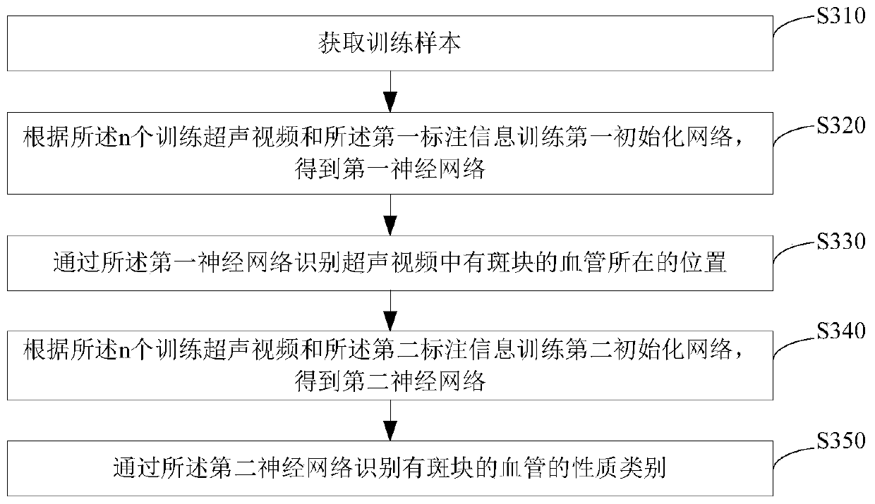 Carotid plaque property judgment method, storage medium and ultrasonic device