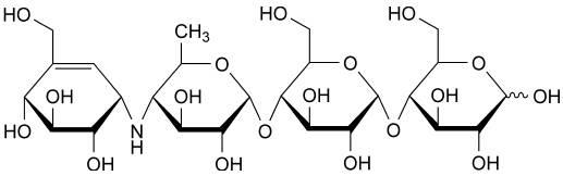 Method for preparing acarbose