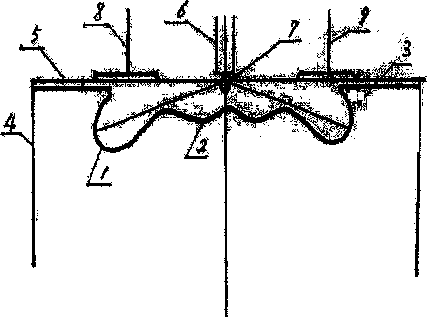 Combustion system and method for self adaption controllable heat premixing direct jet type diesel engine