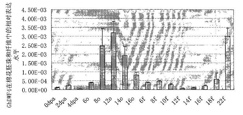 Promoter of Cotton Brassinolide Synthase ghdwf4 Gene and Its Application