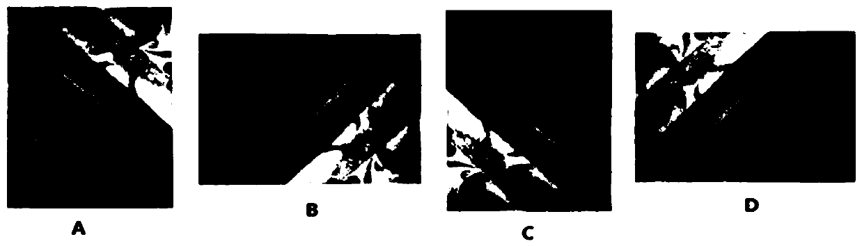 Abstract picture direction determination method based on HSI-LBP features