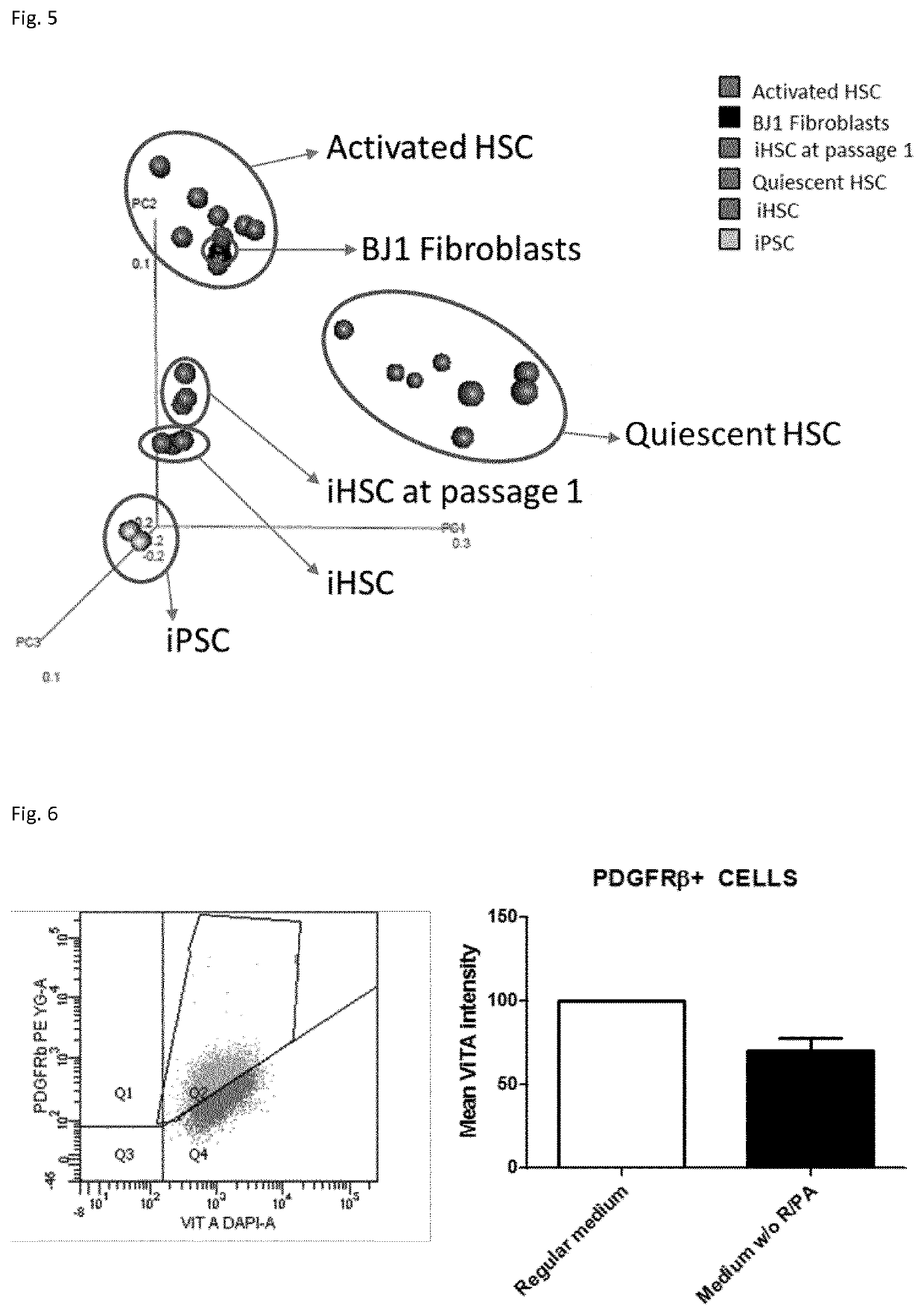 Methods for differentiating cells into hepatic stellate cells