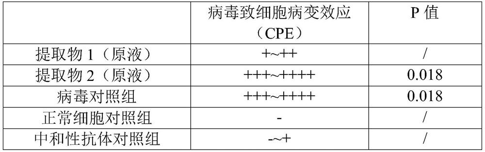 Cyclocarya paliurus extract and application thereof in preparation of anti-coronavirus drugs