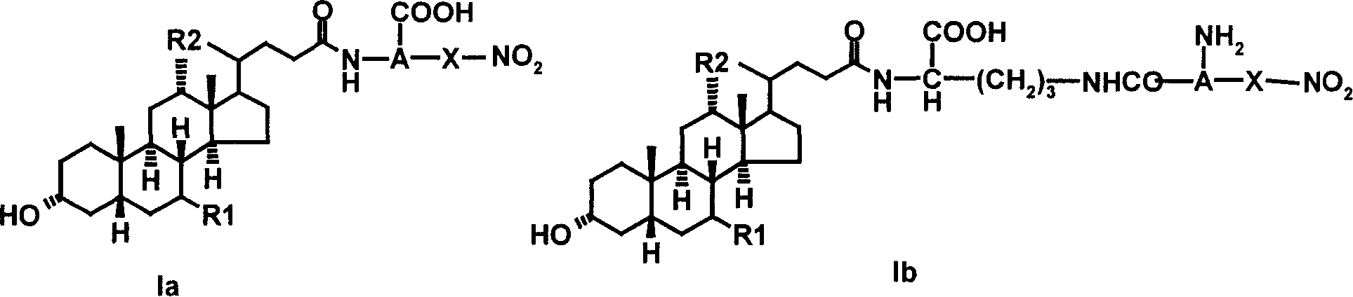 Bile acid derivative and pharmaceutical use thereof